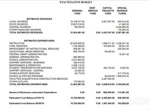 Fannin Budget 2016