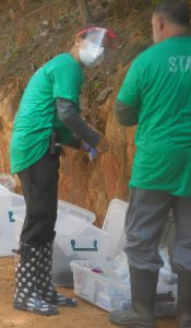Project Chimps staff suit up to unload the retirees.